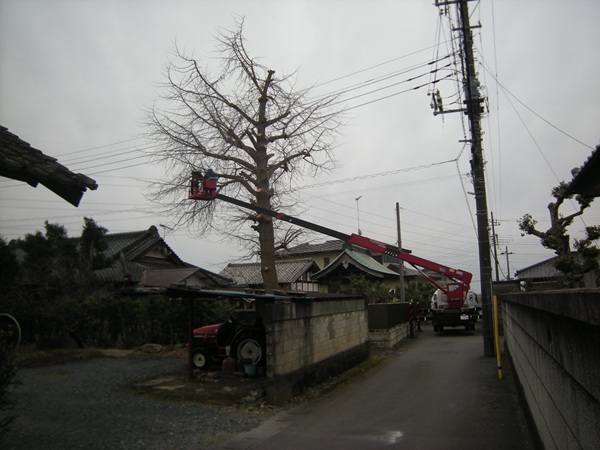 ���ǂ�������ƎԂŔ���